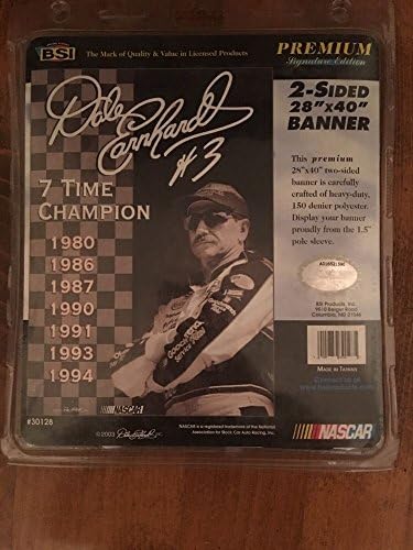 dale earnhardt gargoyle sunglasses