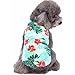 Mihachi Dog Shirt - Hawaiian T Shirts,Back Length 13.5