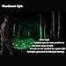 Ultrafire Green Light Flashlight Hunting Flashlights Green Color Torch 7W Mini Flashlight Portable Torch 3-Modes Adjustable Focus Waterproof Lamp