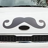 Bits and Pieces - Funny Mustache Magnet - Perfect for Any Large Metal Object - Cars, Refrigerators, Garage Doors