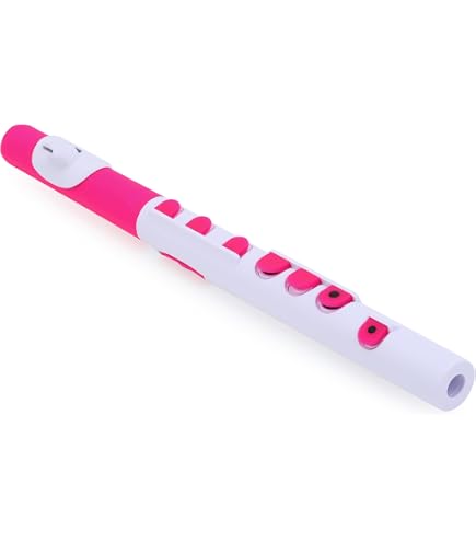 Amazon.com: Nuvo jFlute Beginner Student Flute – White/Blue, Donut