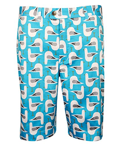 Loudmouth Golf- Bodega Bay Shorts Size 36
