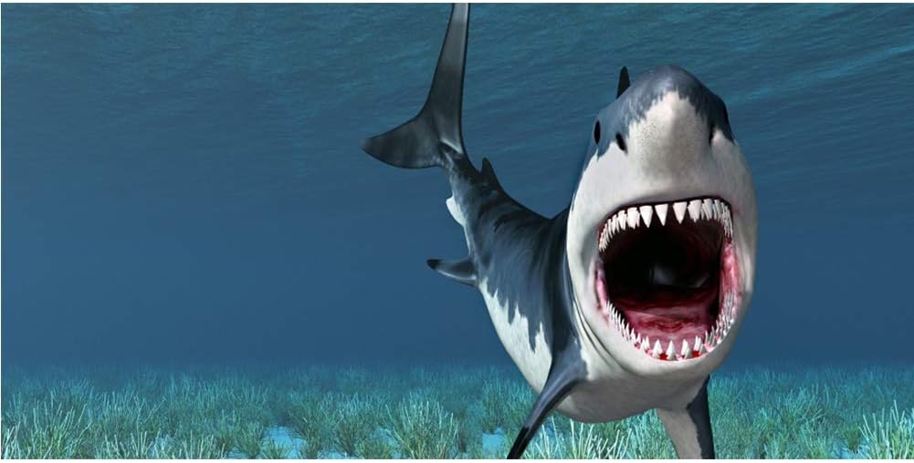 10x7ft White Great Shark Backdrop Vinyl Underwater World Blue Ocean Photography Backgroud Aquarium Backgrouds Summer Holiday Children Baby Adult Portraits Shark Birthday Banner