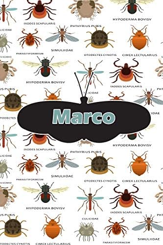 Marco: Bug Insect Comic Book Notebook Journal book 120 pages 6"x9" Paperback – March 27, 2019