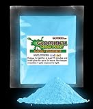 GlominexTM Glow Pigment 1 Oz - Blue Glow in the Dark
