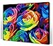 Diy oil painting, paint by number kit- Colorful 16 * 20 inch.