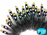 Moonlight Feather, Loose Feathers - Natural Gold Jungle Cock Small Eye Loose Feathers - 10 Pieces
