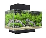 Fluval Edge 6-Gallon Aquarium with 21-LED Light, Black