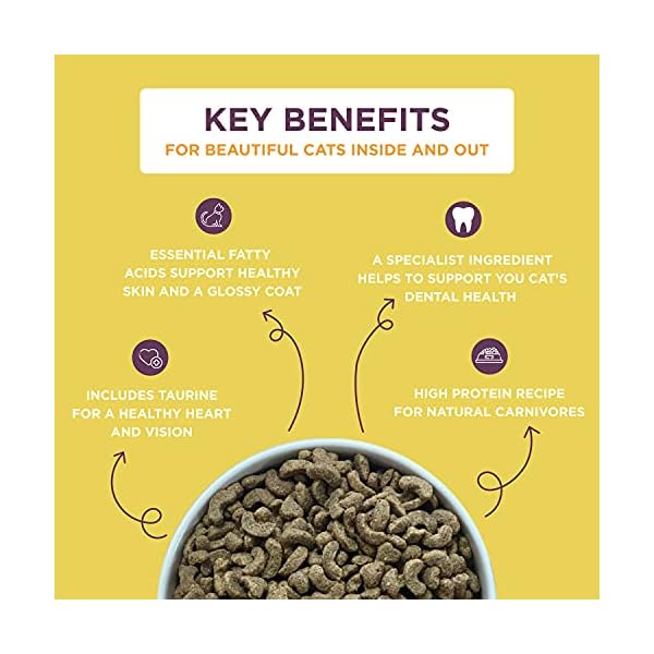 SUPACAT ADULT CHICKEN & DUCK 10KG