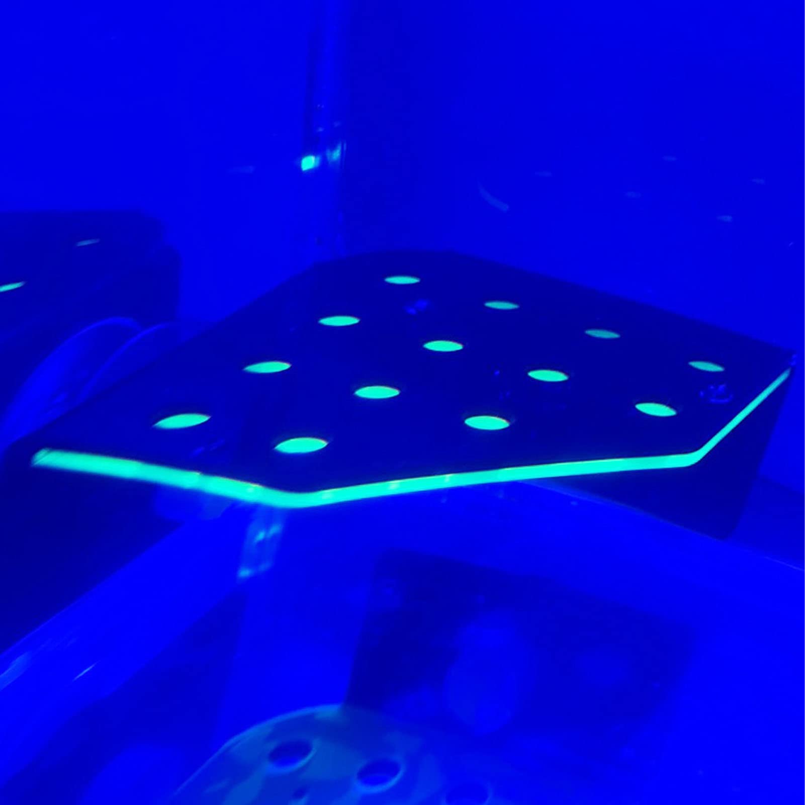 View 2