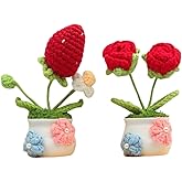 Handmade Crochet Mini Potted Artificial Plants Knitting Flowers for Birthday, Wedding, Anniversary, Graduation, Prom, Christmas Unique Home Decor Gift Ideas for Desk, Shelf (2, Strawberry and rose)