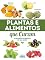 Livro Plantas e Alimentos que Curam