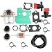 Butom 790120 Carburetor with Fuel Line Filter Primer Bulb for Briggs and Stratton 121602 120682 499617 499974 692648 693909 694202 Lawn Mowe primary