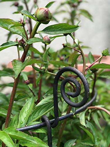 Hirsch Terracotta Staudenhalter stabil flexibel rund Höhe 120 cm Vollmaterial Rankhilfe Pflanzstütze (Ø 80 cm) – Bild 4