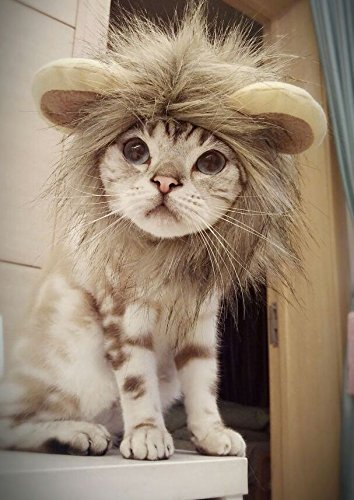 Fanme Lion Mane Wig for Cats Pet Costume Lion Hair Headgear with Ears Christmas Halloween Easter Festival Wig Cosplay Costume