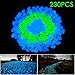 XIEMIN Glow in The Dark Pebbles, Outdoor Garden Glowing Stones for Driveway, Fish Tank, Aquarium, Yard, Decorations