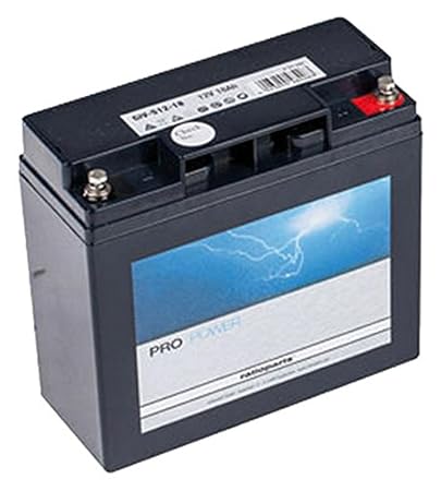 Ratioparts 101, 842 Starterbatterie für Rasentraktoren AGM, 12V, 18Ah Schwarz