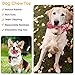Dog Chew Toys, 2 Pcs Pet Chew Toys for Aggressive Chewers, Durable Teeth Cleaning Toys Dog Toothbrush Stick, Dog Toothbrush Bone Chew Toys for Playing, Throwing, Chasing, Biting, Training Teething Toy
