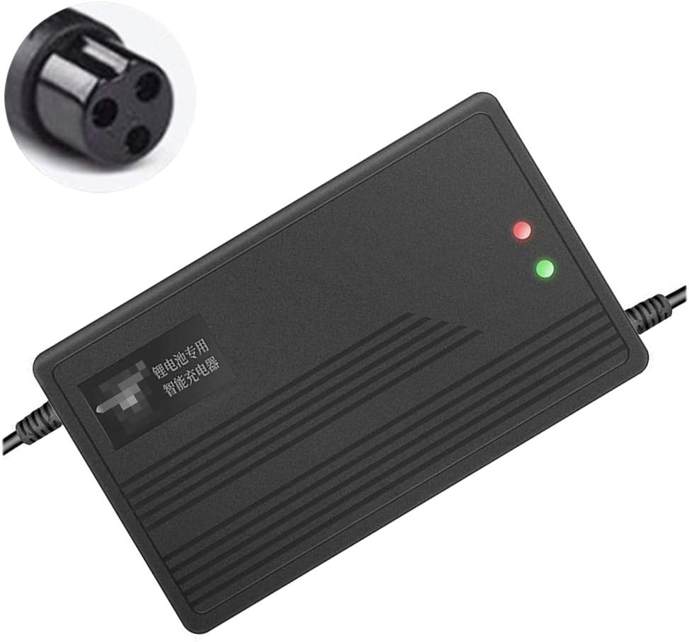 XULONG Electric Scooter Charger, 10A High Power Lithium Battery Charger, 54.6V 58.4V 58.8V Intelligent Fast Charge, Anti-Reverse Connection, Compatible with Most Lithium Battery Products