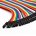 GenBasic 40 Piece Female to Female Jumper Wires (8 Inch)