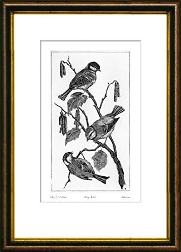 Single-colored hand-crafted etching Vögel, Meisen (Germany) by Behrens in a brown-gold frame behind a mount, graphics, art design, art print