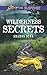 Wilderness Secrets (Love Inspired Suspense) by Sharon Dunn