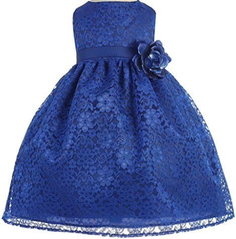 Little Baby Girls' Lovely Floral Lace Cute Wedding Easter Flowers Girls Dresses Royal Size 6M