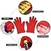 LP Silicone Heat Resistant Grilling BBQ Gloves (Pair) for Cooking Camping Baking Smoking Potholder Fireplace Red