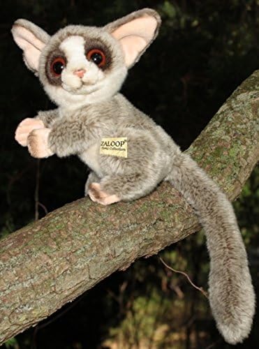 Zaloop Buschbaby Galagos Ca 19 Cm Affe Pluschtier Kuscheltier Stofftier Pluschaffe 13 Amazon De Spielzeug
