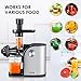 Aicok Slow Masticating juicer, Cold Press Juice Extractor, Stainless Steel, Quiet Motor, High Nutrient Fruit and Vegetable Juice, Black