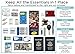 Travel Neck Wallet Passport Holder w/ RFID Blocking - Premium Traveling Pouch