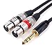 tisino 2 XLR Stereo to 1/4 TRS Y-Splitter Cable, Dual XLR Female to Quarter inch Headphone Jack Stereo Breakout Cable - 5ft / 1.5m