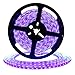 DeepDream UV Black Light Led Strip 32.8Ft/10M Flexible Waterproof IP65 with 12V Power Supply