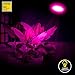 100W LED Grow Light Bulb - Full Spectrum Lamp for Indoor Plants, Garden, Flowers, Vegetables, Greenhouse & Hydroponic Growing, E27 Base with 150 LED's (AC85-265V) by Easy Bright