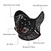 KINGBIKE Dust Mask with Windproof Ear Muff with Extra Filter- Activated Carbon Respirator with Filter Filtration Cotton Sheet Valves Exhaust Gas Anti Pollen Allergy PM2.5 N95 N99