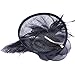 Valdler Womens Feather Mesh Net Sinamay Fascinator Hat with Hair Clip Tea Party Derby Black