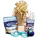 Premier DEAD SEA SECRETS Relaxation Bath & Body Spa Gift Set: Dead Sea Salts Lavender Dead Sea Mud Mask Eucalyptus Oil Tea Tree Oil Soap Stress Ball Scalp Massager Soothing Gel Eye Mask