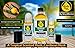 WagsMarket The Egyptian Musk Factory, Caribbean Musk Perfume Oil, Choose from 0.33oz Roll On to 4oz Glass Bottle (1oz Glass Bottle)