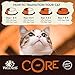 Wellness CORE Natural Grain Free Wet Canned Cat Food, Beef & Lamb, 5.5-Ounce Can (Pack of 24)