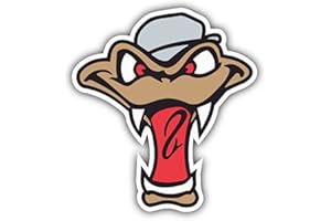 JYXINDZKJ Wisconsin Timber Rattlers MiLB Baseball Head Logo Vinyl Art Graphic Sticker Bumper Decal