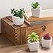 MyGift Artificial Assorted Mini Succulents Plants in Modern White Cube Shaped Ceramic Planter Pots, Set of 4 / Small Potted Colorful Faux Succulent Plants