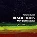 Black Holes: A Very Short Introduction