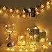Goodia Battery Operated 10.5ft 30 LED Curtain Light/Golden String Lights for Indoor,Bedroom,Patio,Lawn,Landscape,Fairy Garden,Home,Wedding,Holiday,Christmas Tree,Halloween,Party (Warm White)