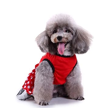 lightning dog jersey