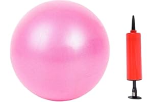 MoldFun Mini Yoga Pilates Ball 10 Inch for Stability Exercise Training Gym Anti Burst and Slip Resistant Balls with Inflatable Straw