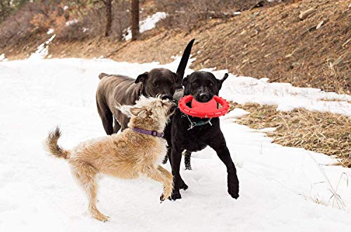 Legendog 2 Pcs Flying Disc, Squeaky Rubber Dog Toys Soft Flying Disc Dog Catcher Toy for Pet Training & Chewing - Thumbnail 3