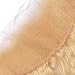 FDshine Blonde Frontal Lace Closure with Baby Hair Ear to Ear Frontals Human Hair 13x4 Free Part Body Wave (14