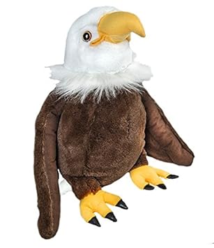 american eagle teddy