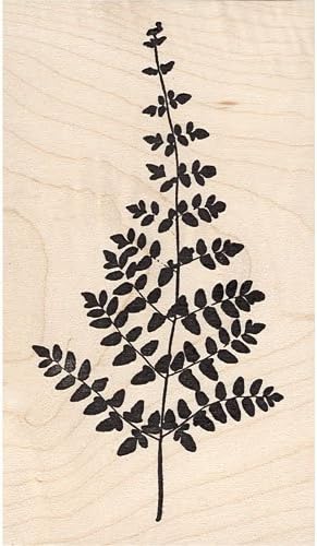 Lacy Fern Leaf Rubber Stamp