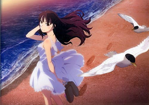 Amazon Co Jp 及川なずな クリアファイル Blu Ray 打ち上げ花火 下から見るか 横から見るか 完全生産限定版 ソフマップ購入特典 ホビー 通販